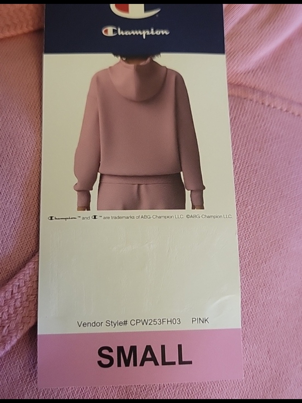 Champion Pink Pullover Hoodie for Women - Picture 2 of 3
